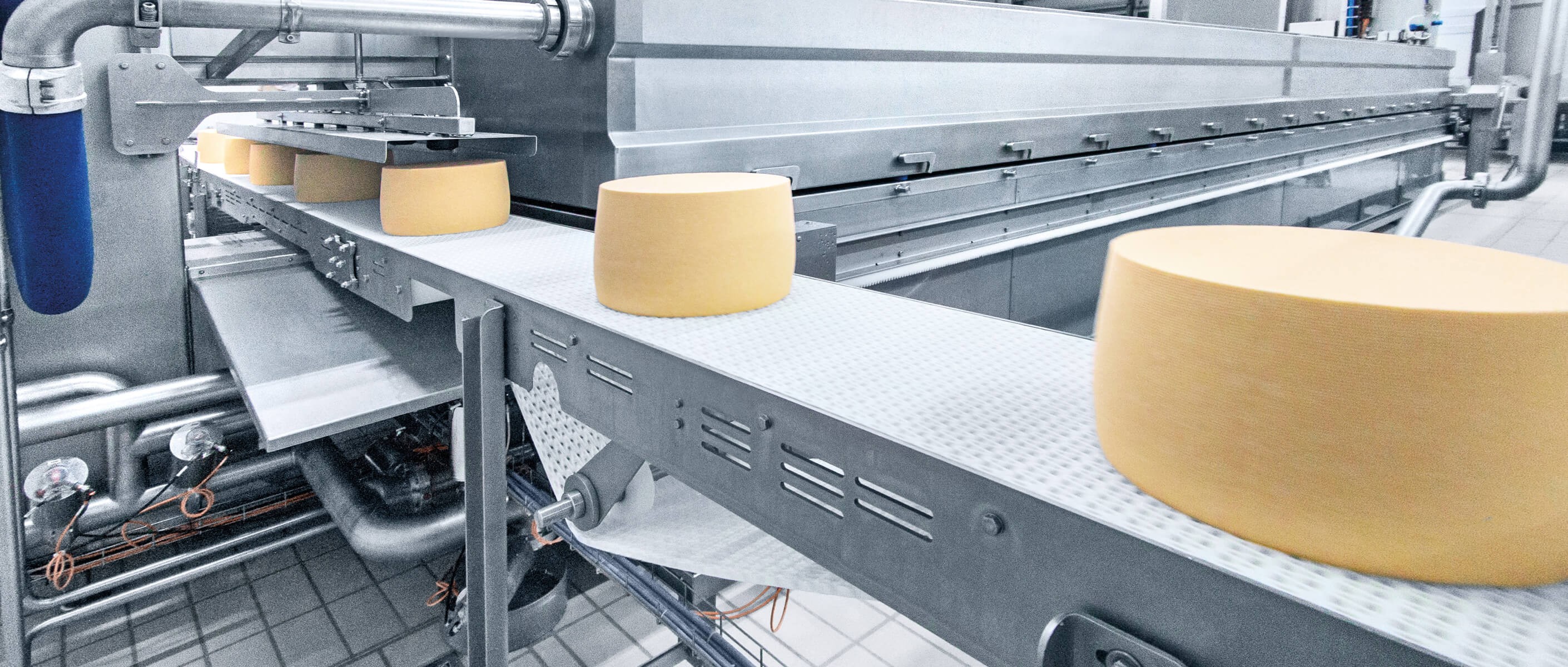 Оборудования для производства сыра